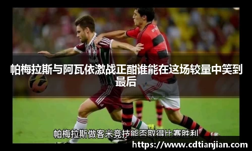 帕梅拉斯与阿瓦依激战正酣谁能在这场较量中笑到最后